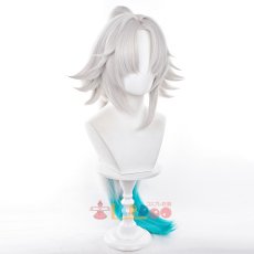 画像4: 崩壊スターレイル HonkaiStarRail 飛霄-ヒショウ コスプレウィッグ ネット付き 耐熱 cosplay (4)